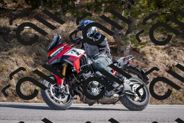 202603011300-DSC_1315_c2