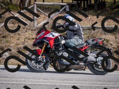 202603011300-DSC_1316_c2