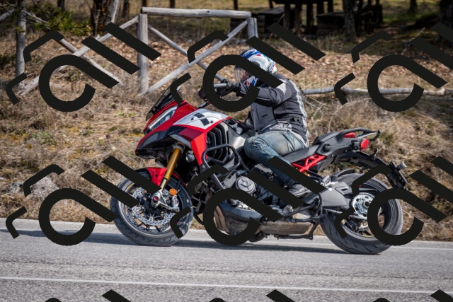 202603011300-DSC_1316_c2