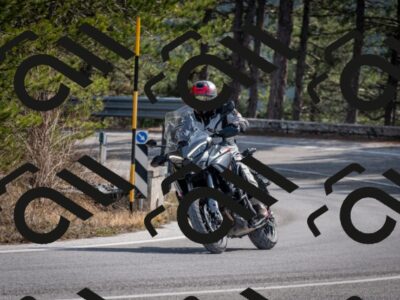 202603011300-DSC_1317_c2