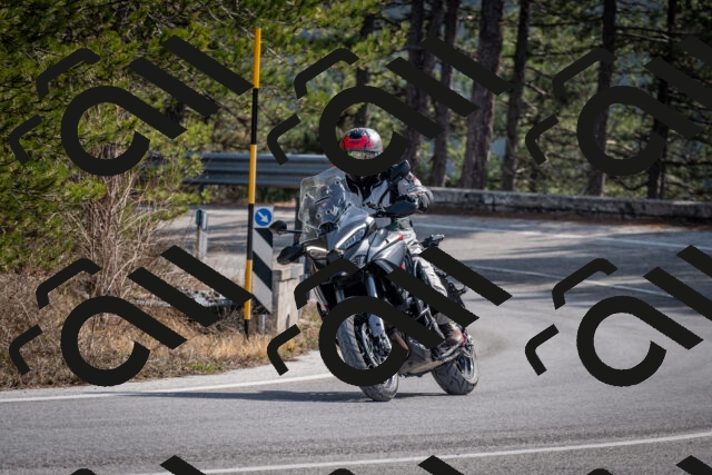 202603011300-DSC_1317_c2