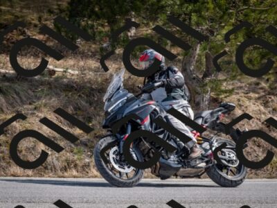 202603011300-DSC_1318_c2