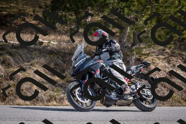 202603011300-DSC_1318_c2