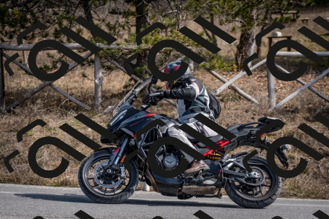 202603011300-DSC_1319_c2