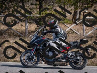 202603011300-DSC_1319_c2