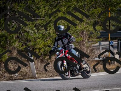 202603011301-DSC_1320_c2