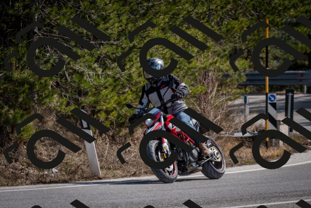 202603011301-DSC_1320_c2