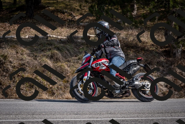 202603011301-DSC_1321_c2