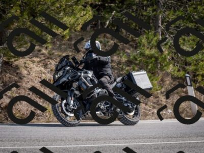 202603011301-DSC_1323_c2