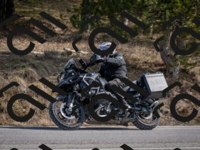 202603011301-DSC_1324_c2