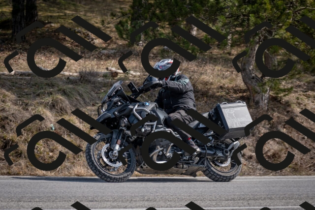 202603011301-DSC_1324_c2