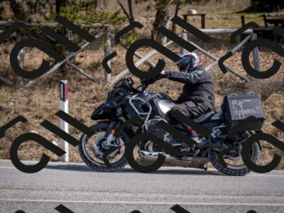 202603011301-DSC_1325_c2