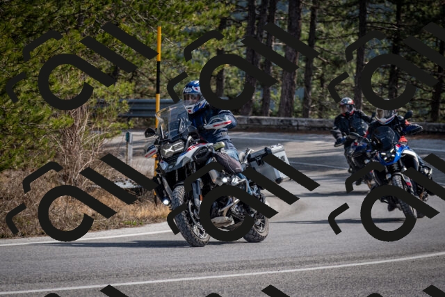 202603011301-DSC_1326_c2