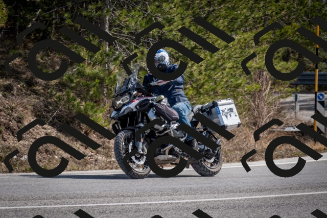 202603011301-DSC_1327_c2