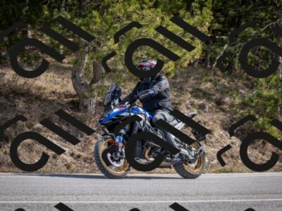 202603011301-DSC_1330_c2