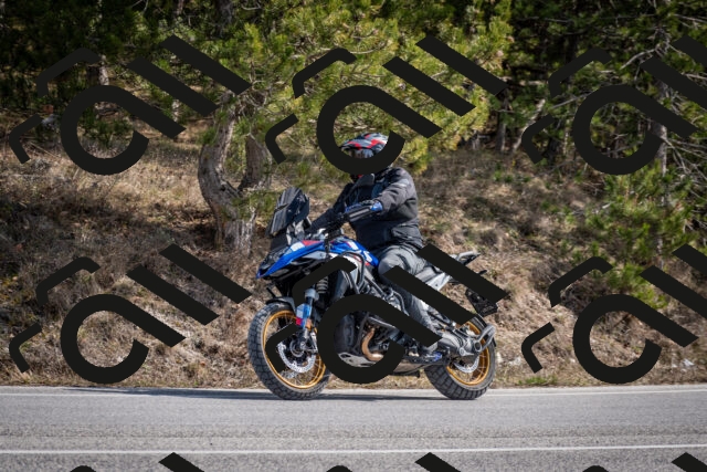 202603011301-DSC_1330_c2