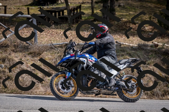 202603011301-DSC_1331_c2