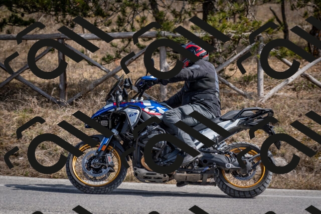 202603011301-DSC_1332_c2