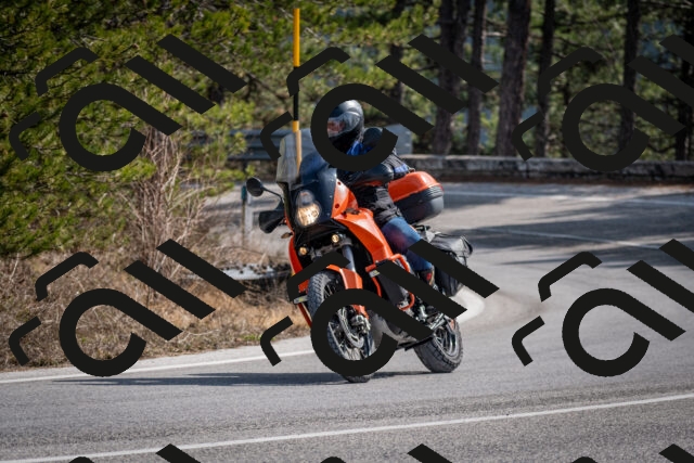 202603011302-DSC_1333_c2