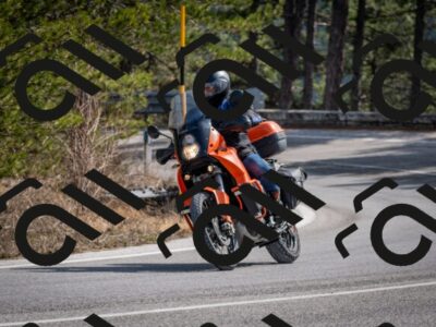 202603011302-DSC_1333_c2