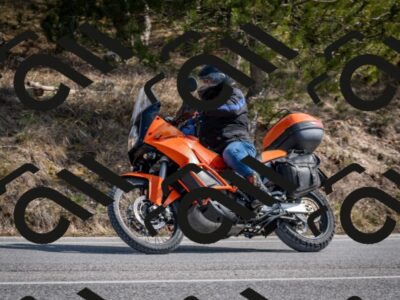 202603011302-DSC_1334_c2