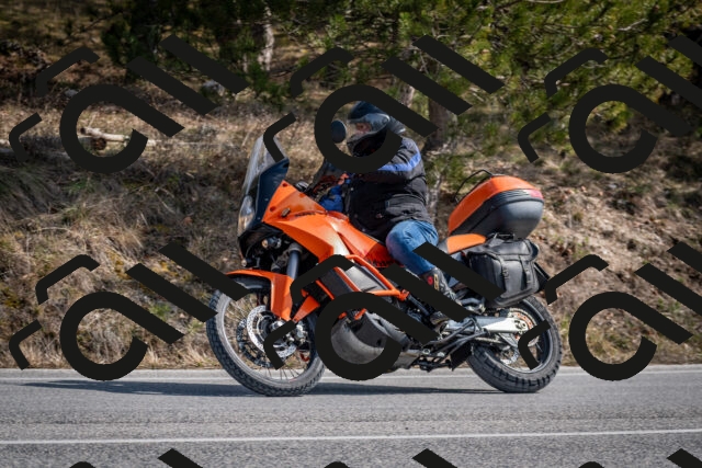 202603011302-DSC_1334_c2