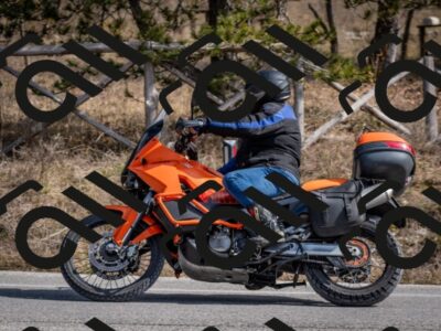 202603011302-DSC_1335_c2