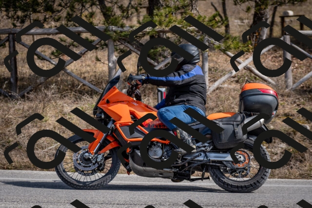 202603011302-DSC_1335_c2