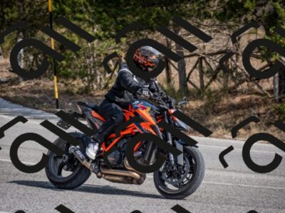 202603011303-DSC_1337_c2