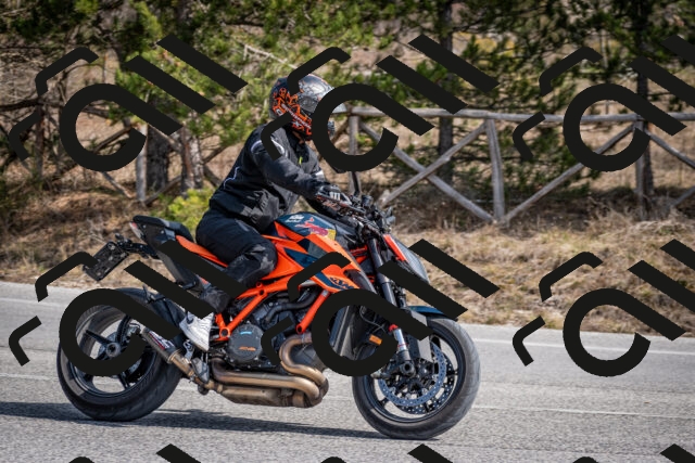 202603011303-DSC_1338_c2