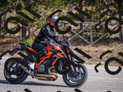 202603011303-DSC_1338_c2