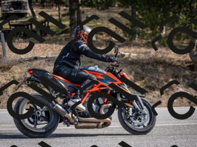 202603011303-DSC_1339_c2