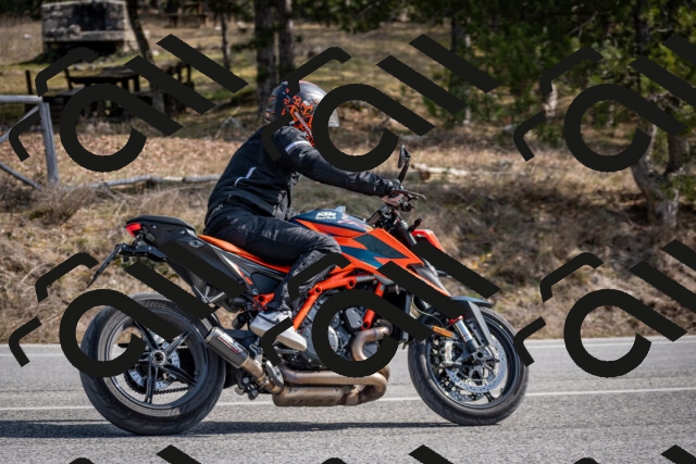 202603011303-DSC_1339_c2