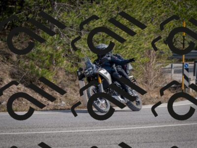 202603011314-DSC_1361_c2