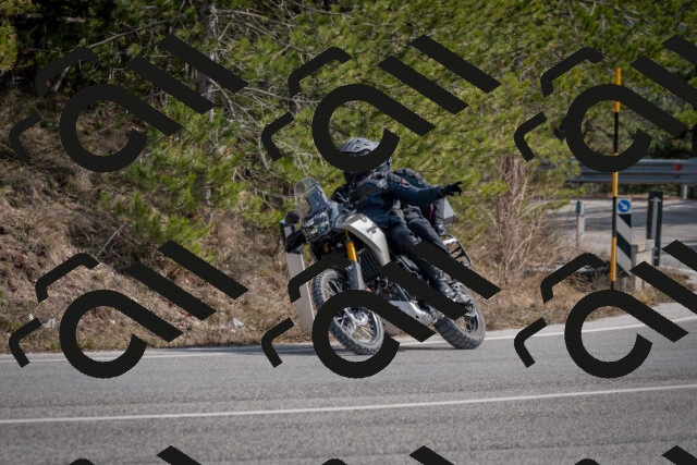 202603011314-DSC_1361_c2