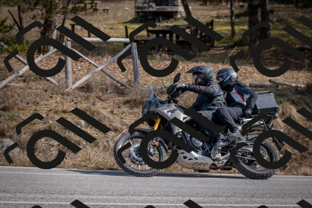 202603011314-DSC_1363_c2