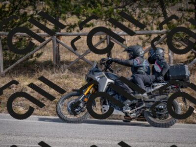 202603011314-DSC_1364_c2