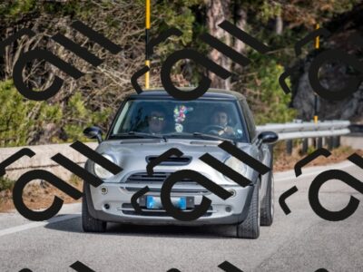 202603011316-DSC_1365_c2