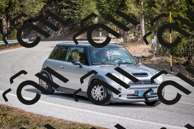 202603011316-DSC_1367_c2