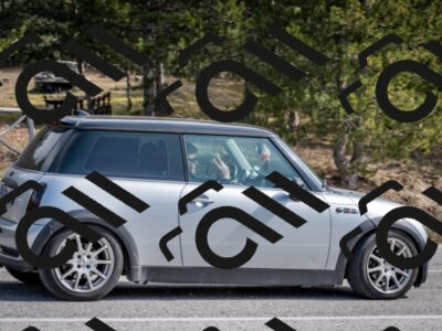 202603011316-DSC_1369_c2