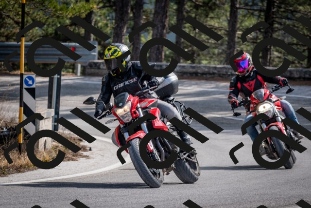 202603011319-DSC_1370_c2