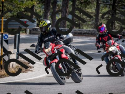 202603011319-DSC_1370_c2