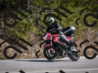 202603011319-DSC_1371_c2