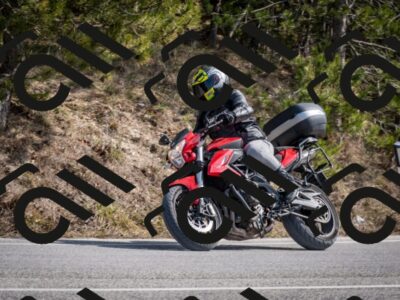 202603011319-DSC_1372_c2