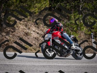 202603011319-DSC_1373_c2