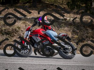 202603011319-DSC_1374_c2