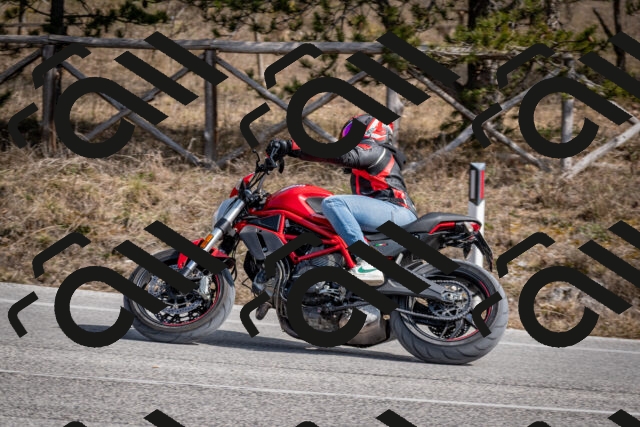 202603011319-DSC_1375_c2