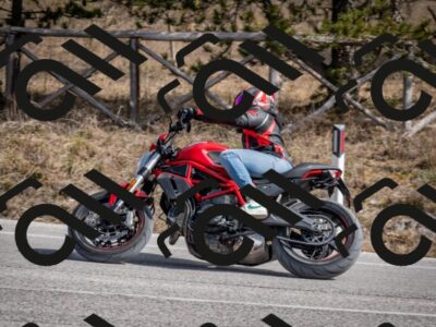 202603011319-DSC_1375_c2