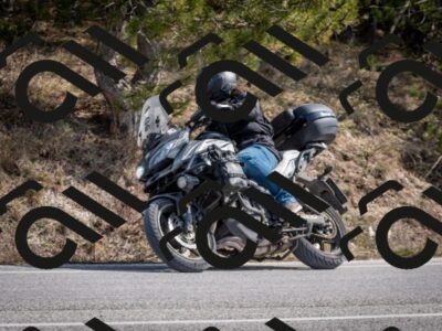 202603011319-DSC_1376_c2