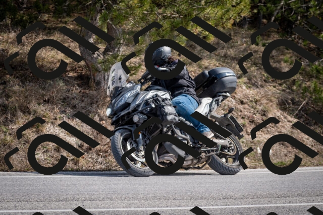 202603011319-DSC_1376_c2